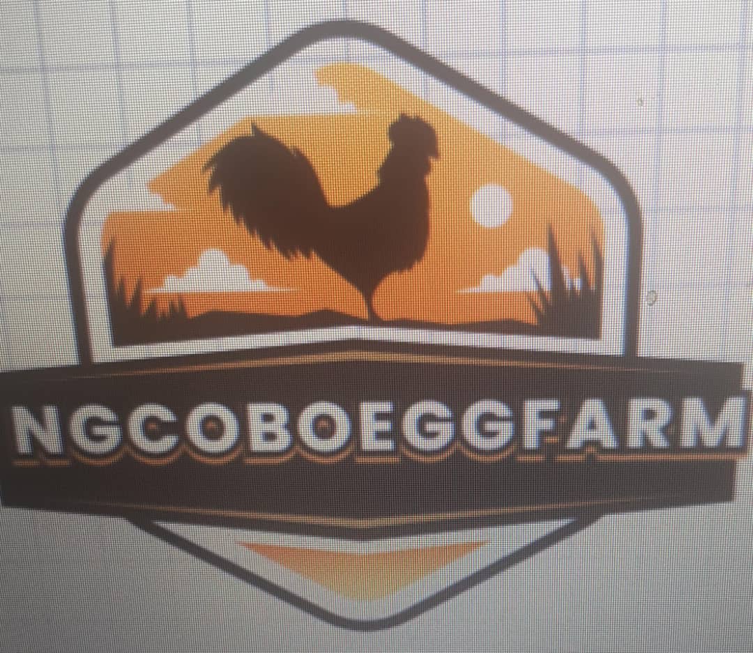 Ngcoboeggfarm